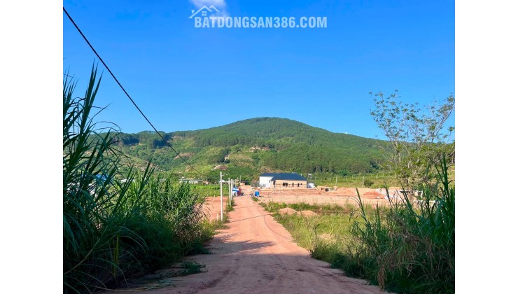 Cần Bán Đất 309m² Có 209m² Thổ Cư, 2 Mặt Tiền Giữa Thung Lũng Thông Xanh